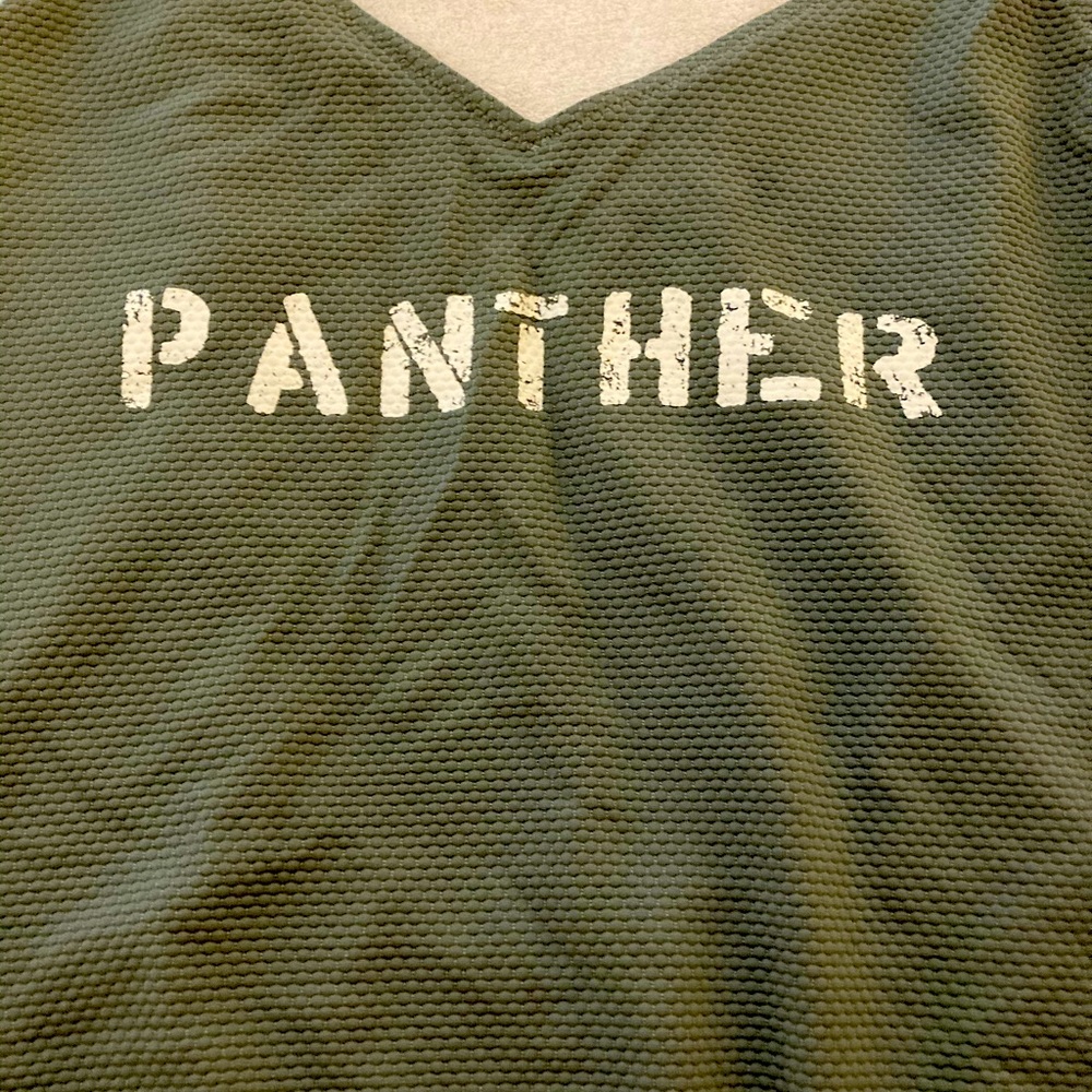 Spell and the Gypsy panther suit